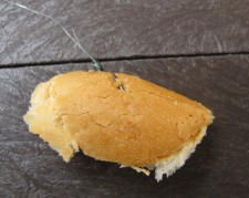 111.jpg