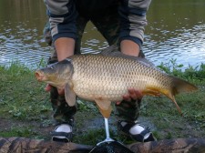 04.jpg