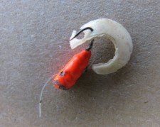 05.jpg