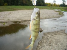 03.jpg