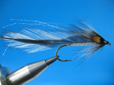IMG_0758.jpg