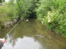 IMG_4574.jpg