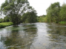 IMG_5855.jpg