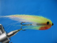 IMG_1731.jpg