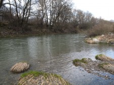 IMG_8606.jpg