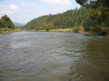 IMG_1893.jpg