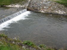 IMG_2011.jpg