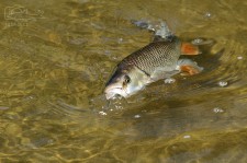 IMG_0426.jpg