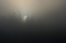 010.jpg