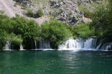 IMG_1901.jpg