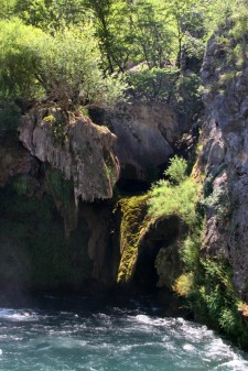 IMG_1915.jpg