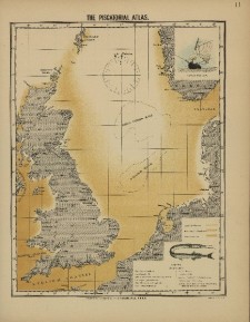 16448_olsen-1883-kaart-11.jpg