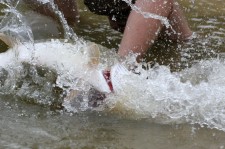 IMG_0992.jpg