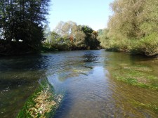 DSC03881.JPG