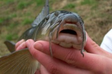 DSCN4411.jpg