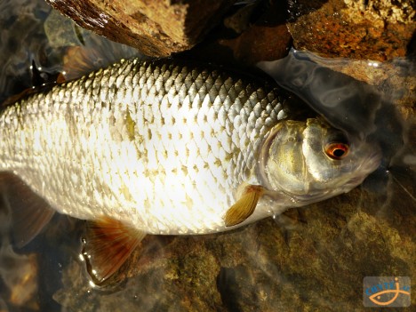 p6.jpg