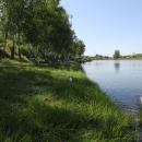 IMG_07051.jpg