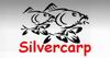 Silvercarp