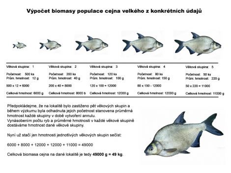 /files/inpages/014/biomasa-vypocet.jpg