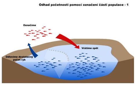 /files/inpages/014/pocetnost-ryb-1.jpg