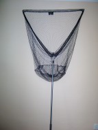 img1050.jpg