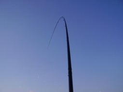 img1081.jpg