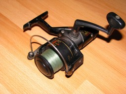 img1108.jpg