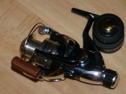img567.jpg