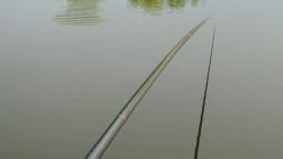 img972.jpg