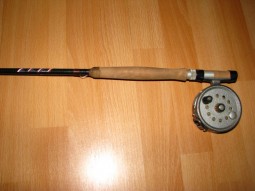 img1153.jpg
