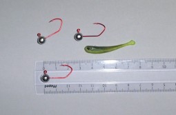 img1173.jpg