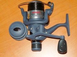 img735.jpg
