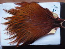 img2026.jpg