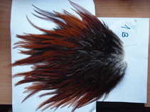 img2027.jpg