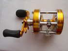 img2047.jpg