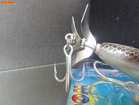 img2286.jpg