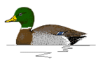 img2628.png