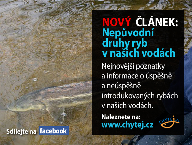 Nepůvodní druhy ryb v našich vodách