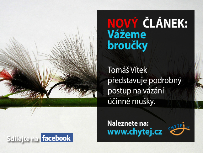 Vážeme broučky