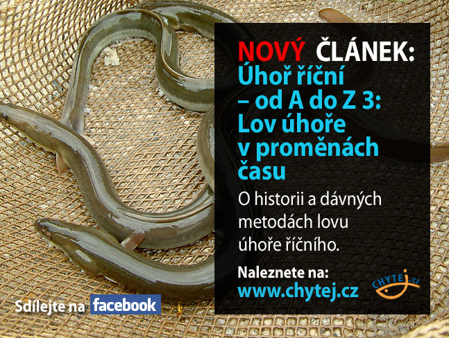 Úhoř říční – od A do Z 3: Lov úhoře v proměnách času