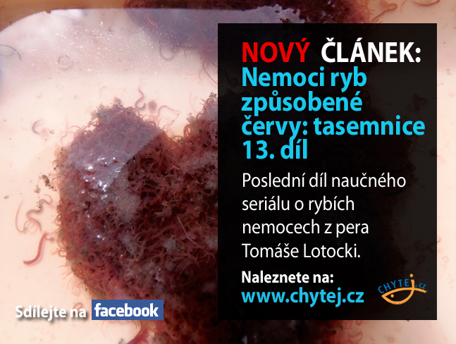 Nemoci ryb způsobené červy: tasemnice 13. díl