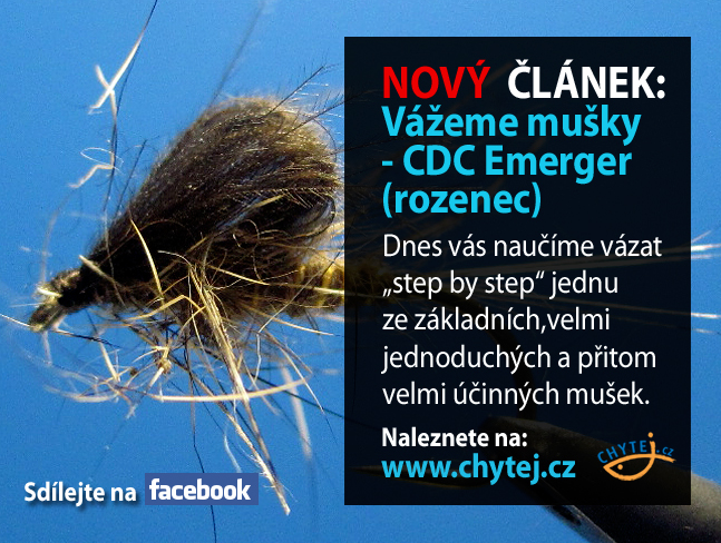 Vážeme mušky - CDC Emerger (rozenec)