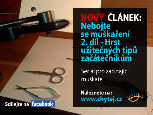 Nebojte se muškaření 2. díl – Hrst užitečných tipů začátečníkům