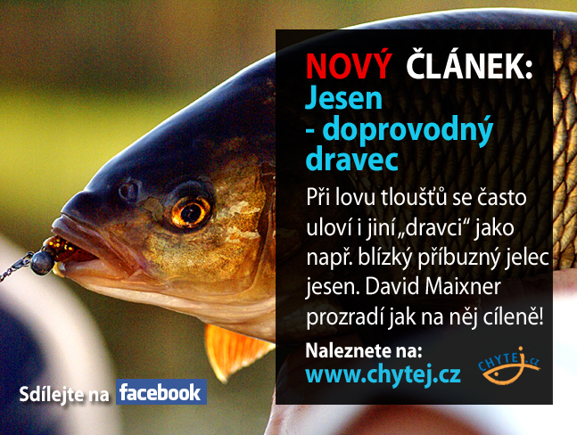 Jesen - doprovodný dravec