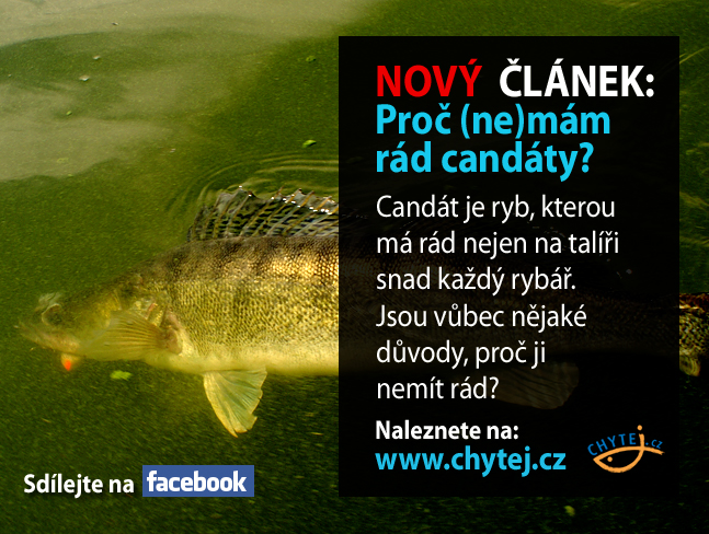 Proč (ne)mám rád candáty?