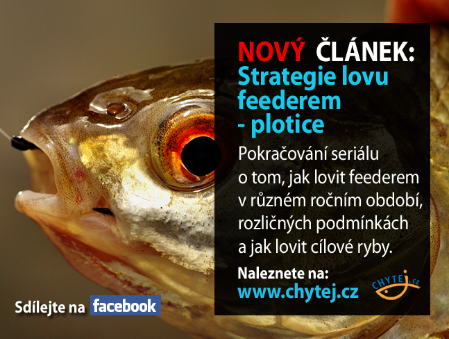 Strategie lovu feederem - plotice