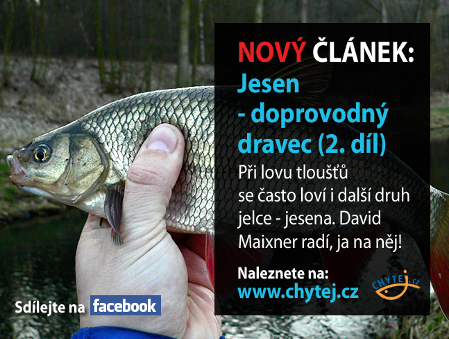 Jesen - doprovodný dravec (2. díl)