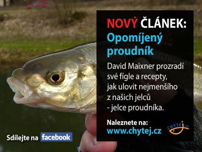 Opomíjený proudník