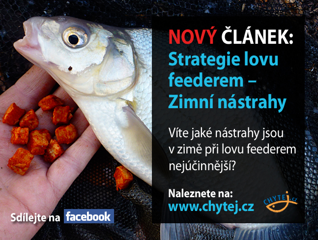 Strategie lovu feederem – Zimní nástrahy