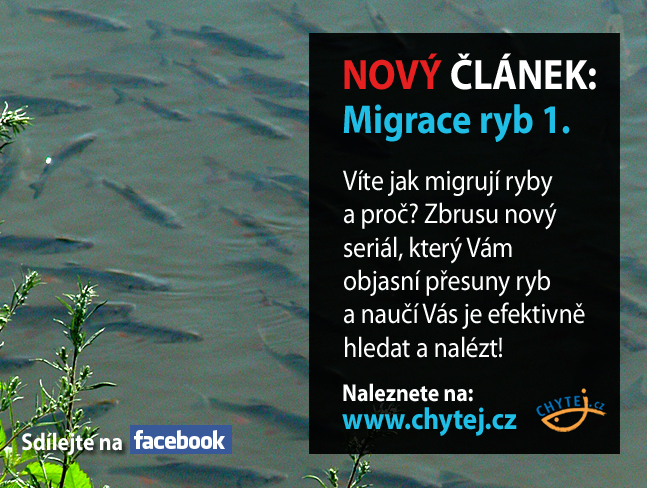 Migrace ryb - 1. díl